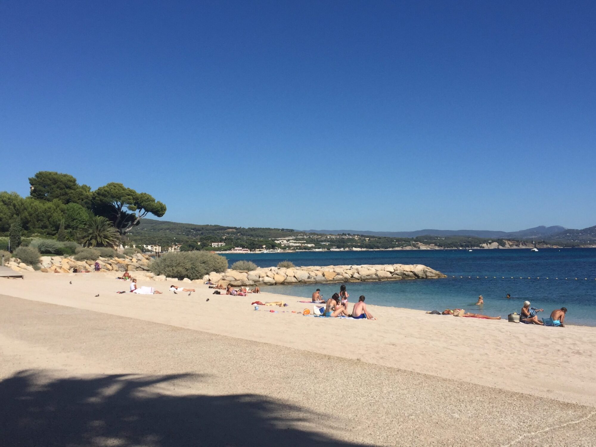 Sunbathers on beach