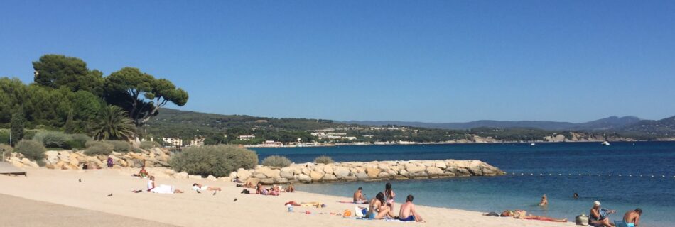 Sunbathers on beach