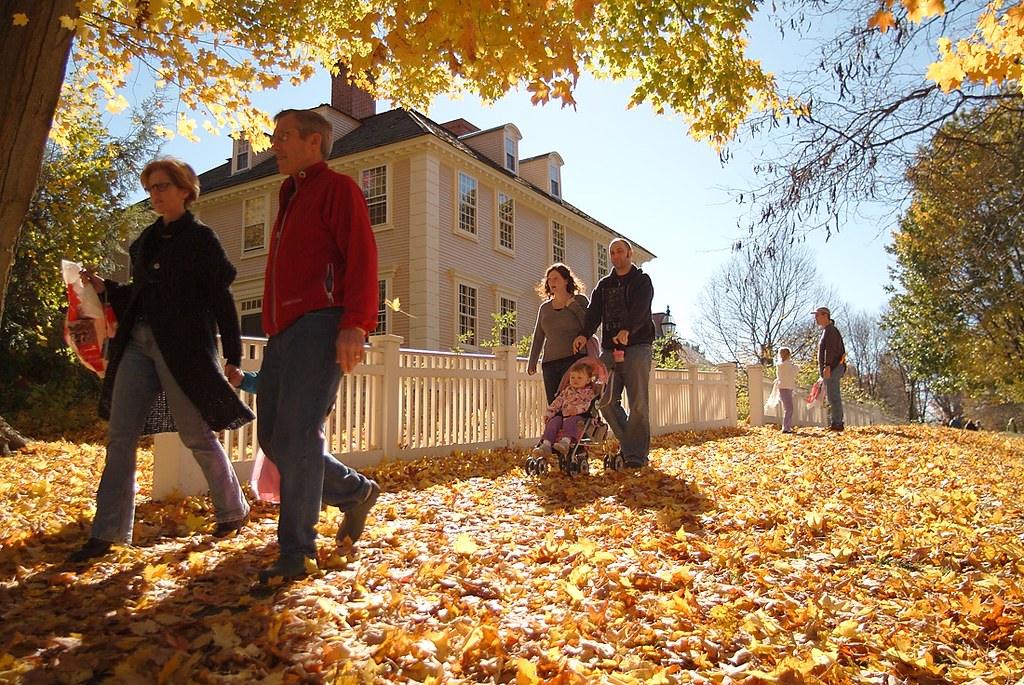 People walking in park