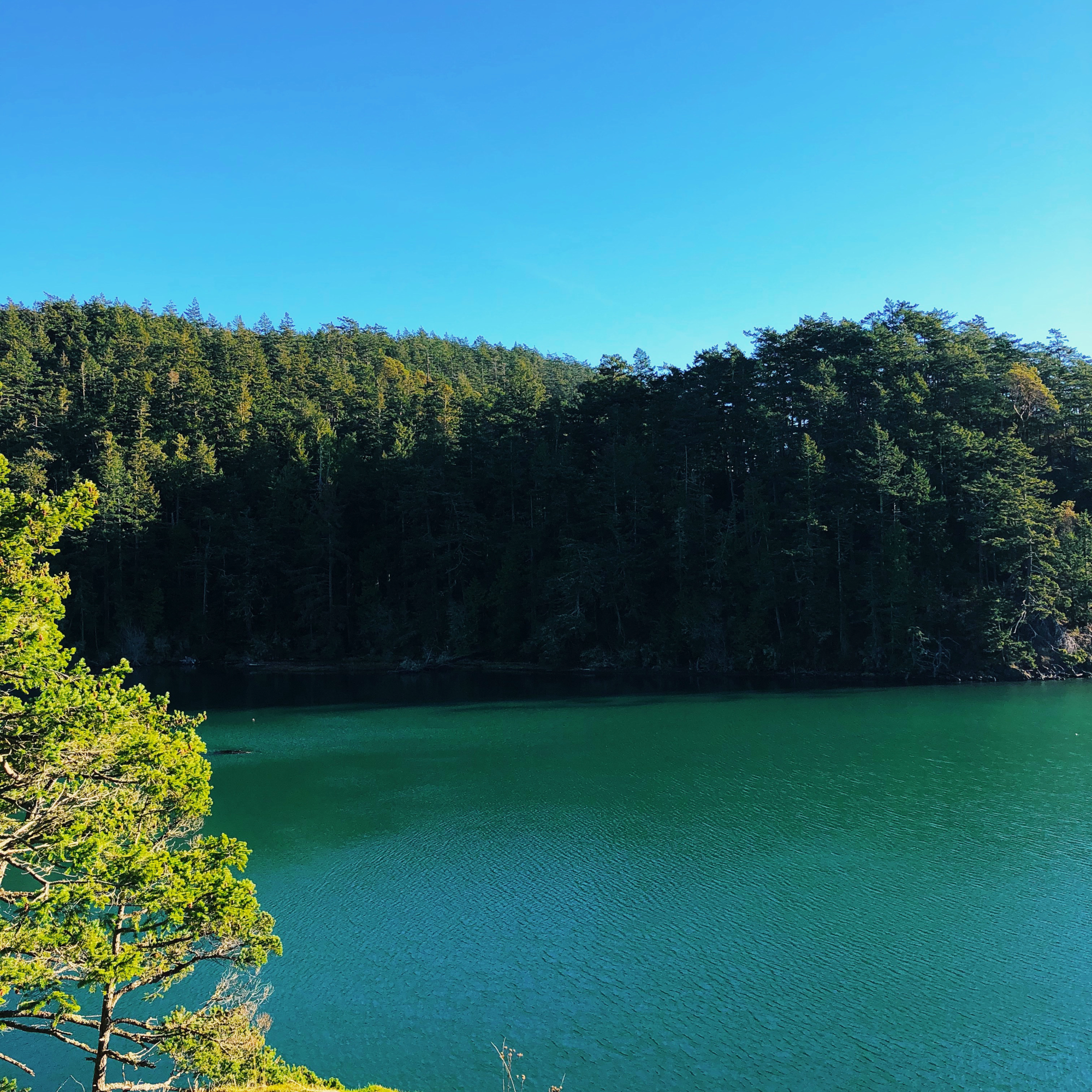 View of green-blue water