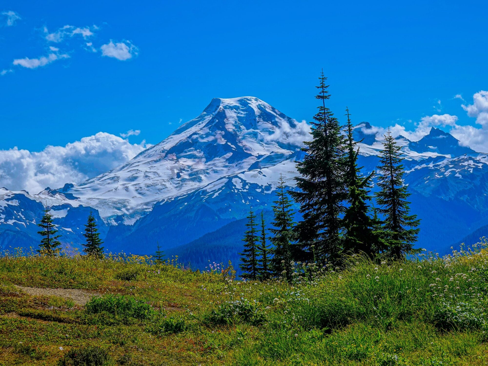 View of Mount Baker in the distance