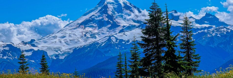 View of Mount Baker in the distance