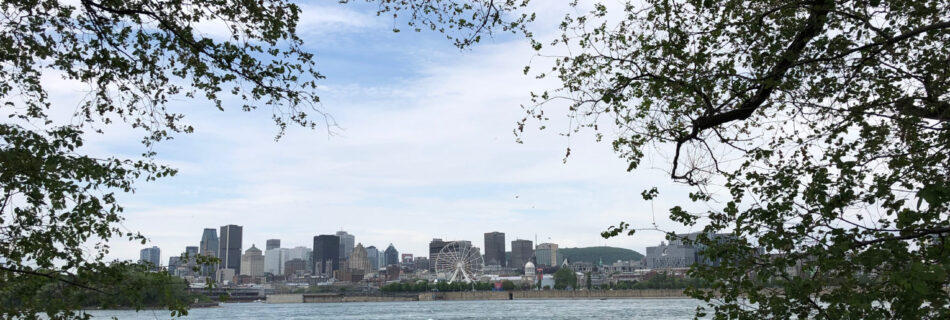 View of Montreal accross the River, framed by trees