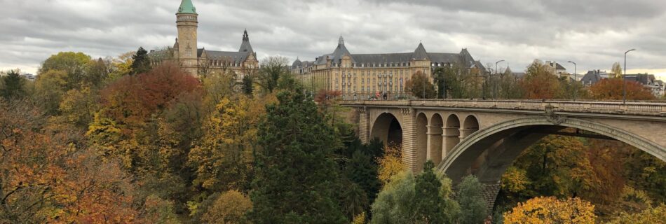 View of bridge over canyon of autumn trees