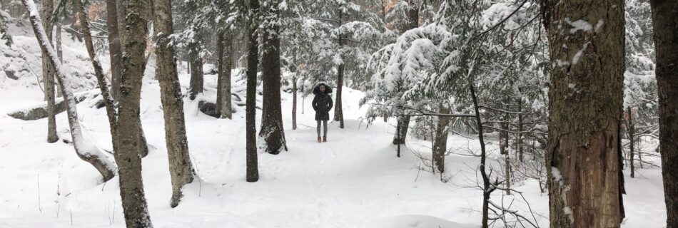 Snowy trail, lined with trees with girl in the distance